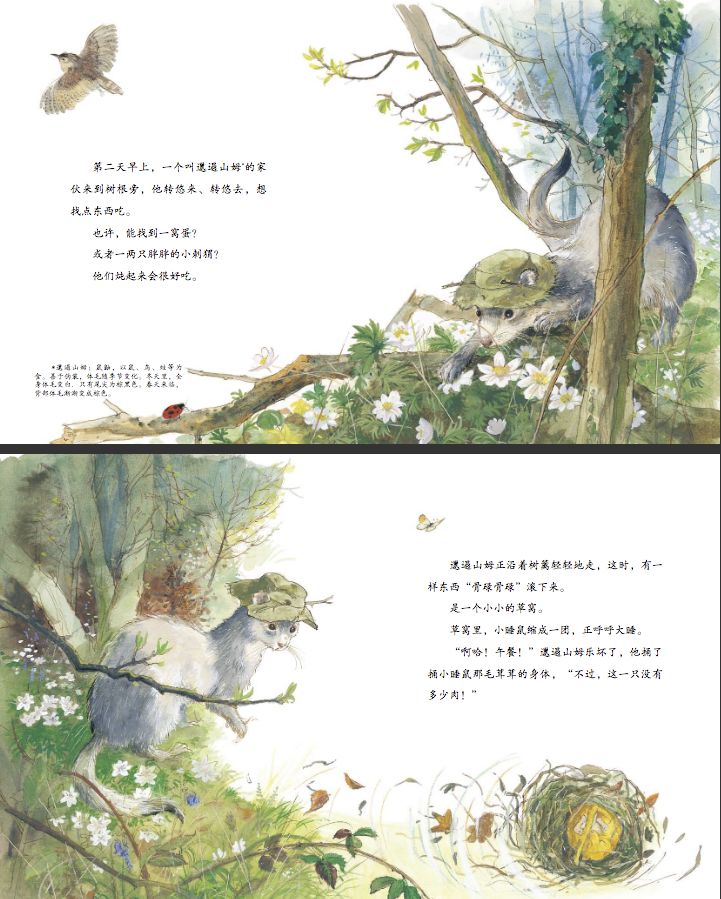 十万个为什么绘本完整图片10张,十万个为什么绘本制作教程