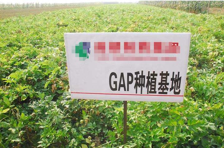 仲景六味地黄丸的卖点,仲景六味地黄丸是哪个厂家生产的