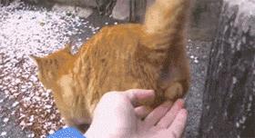 爱我，就给我舔屁股吧