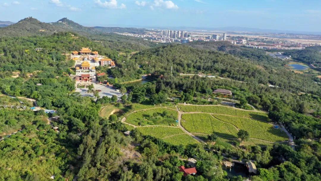 厦门香山有什么风景,厦门翔安必去8个景点香山