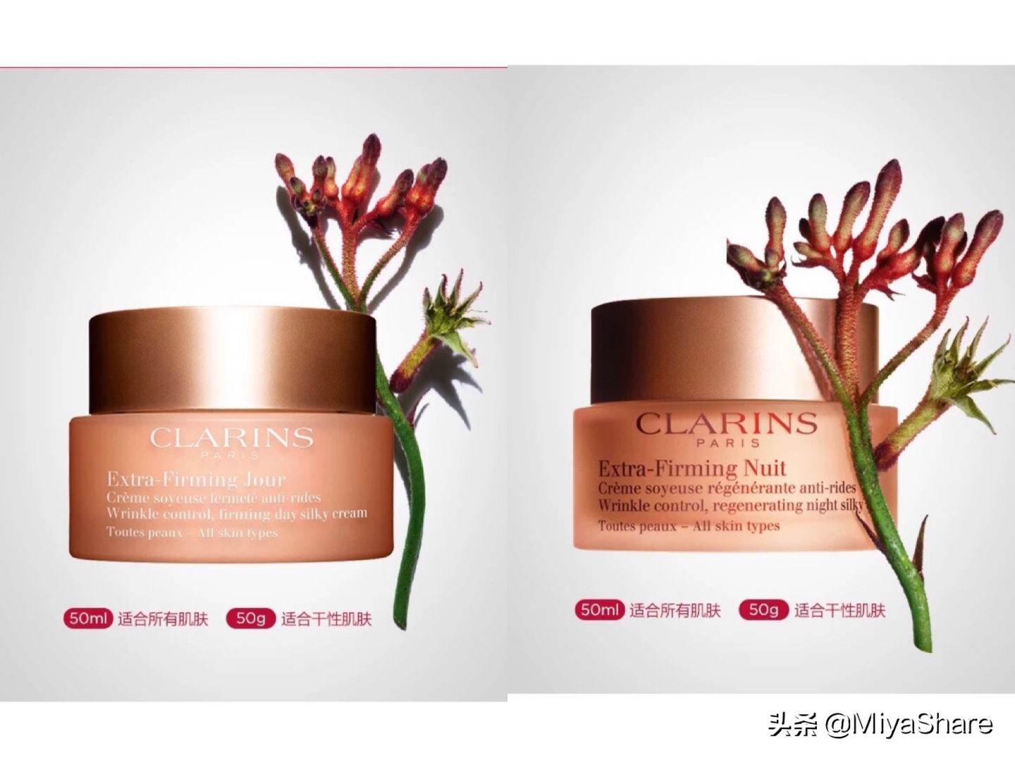 娇韵诗不死鸟面霜成分表,娇韵诗弹力面霜日霜晚霜测评