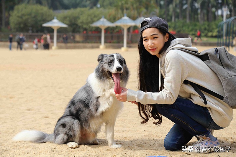 2020年最好的创业项目是哪些？让你走好创业第一步