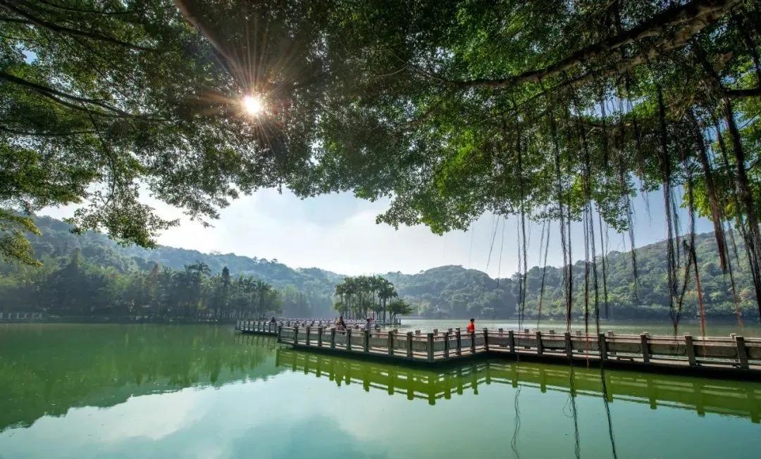 佛山西樵飞鸿故里,南海西樵飞鸿纪念馆