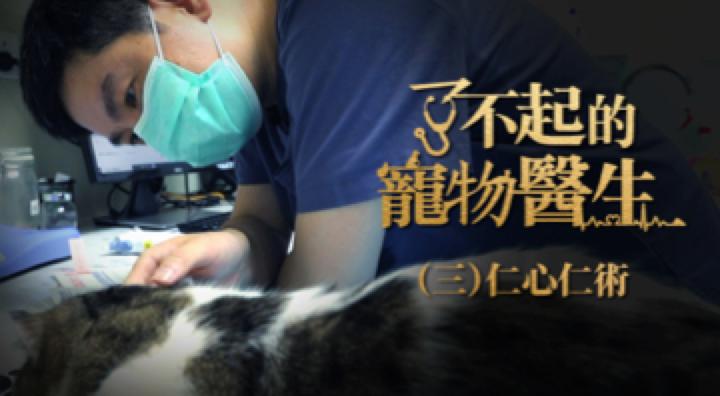 什么都能治的宠物医生,了不起的宠物医生观后感