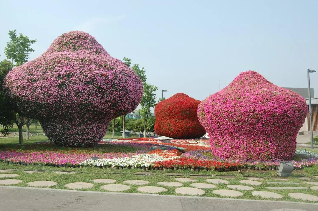 央视西安夜景浐灞,央视新闻直播西安电视台