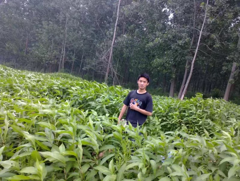 致敬凉山救火英雄汪耀峰烈士,凉山救火英雄汪耀峰魂归故里