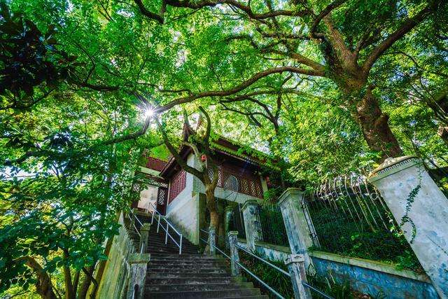 宁波三天两夜自驾旅游推荐,宁波必打卡景点推荐