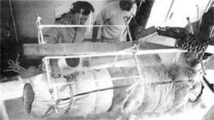 世界上首例冰冻人化冻后活了吗,世界首位冷冻人解冻时限已超2年