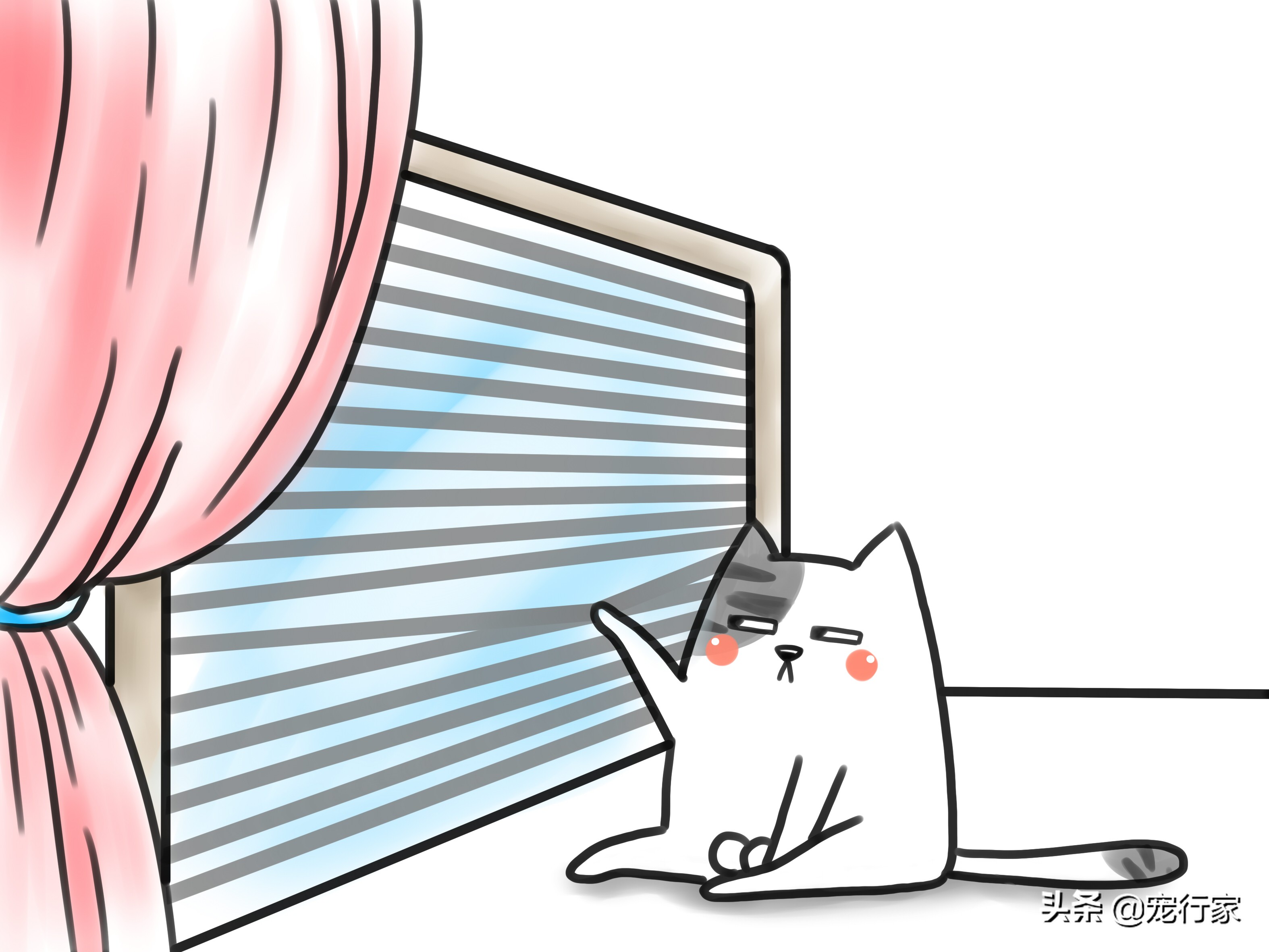 猫也有分离焦虑症吗,猫有分离焦虑怎么办