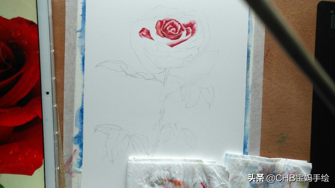 水彩画初学者零基础教程玫瑰花,水彩画教程入门玫瑰花慢教程