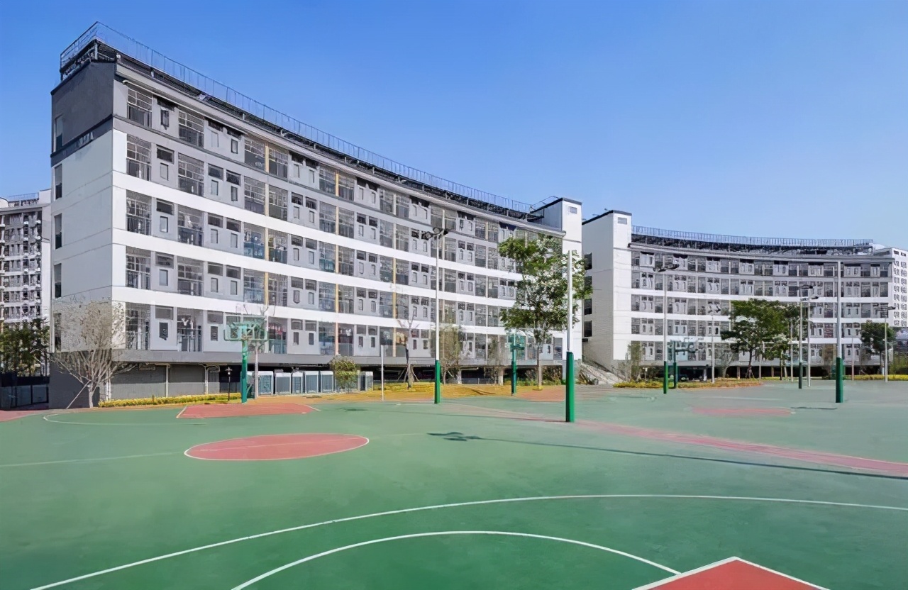 深圳四大八大十大中学各有几所,深圳的四大八大名校是哪些