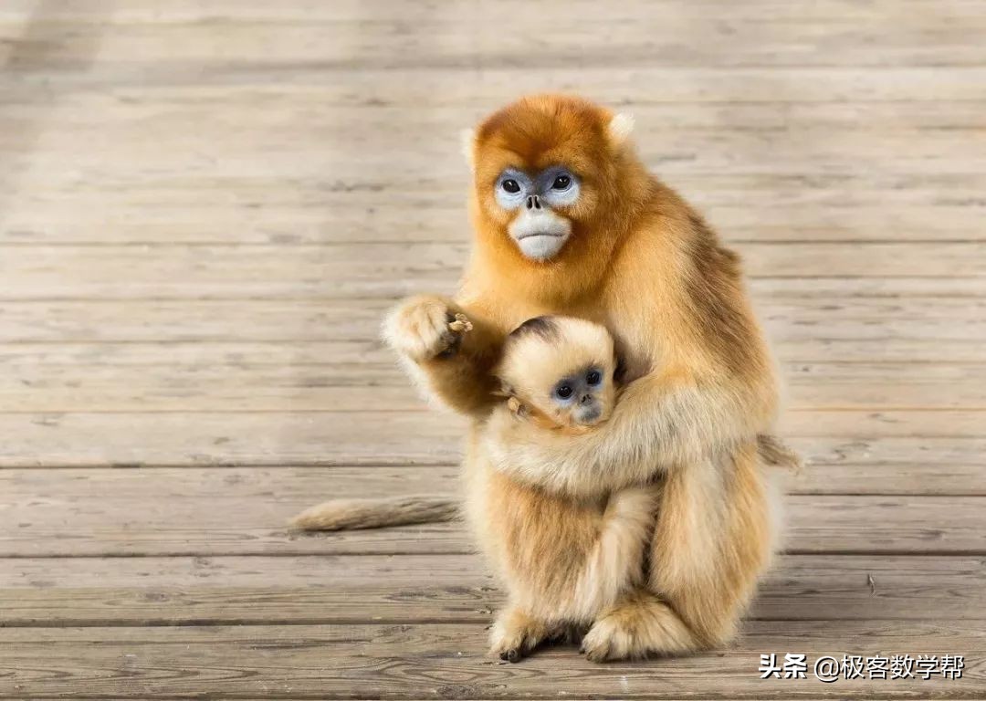 成都景区地图,成都各大景点详细攻略图片