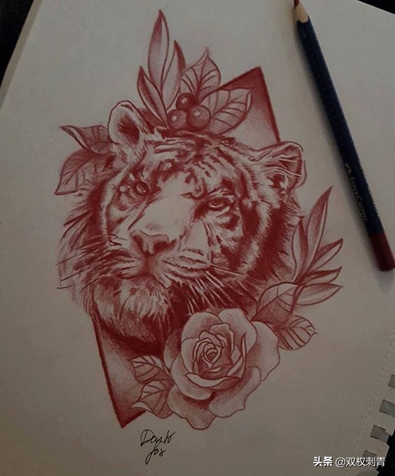 新传统老虎纹身手稿,满背老虎纹身手稿大全