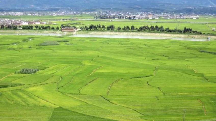 农村户口有土地4050社保补贴政策,农村户口没有土地能拿到补贴吗