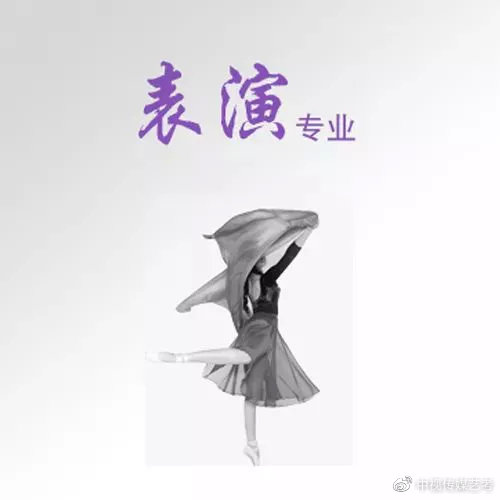 表演专业的大学有哪些,表演专业到底学啥课程