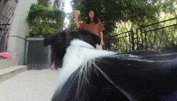 山狗t3拆机 (山狗t3pro值得买吗)