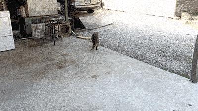 笑里藏刀的幽默笑话,笑里藏刀的幽默搞笑段子