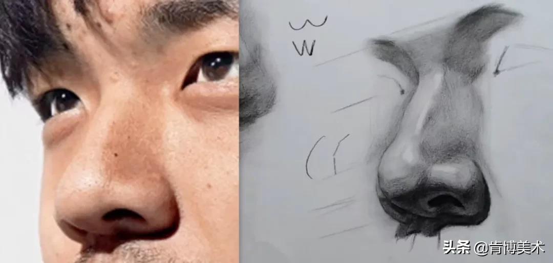 鼻子看起来很塌又不塌,鼻子看着没立体感