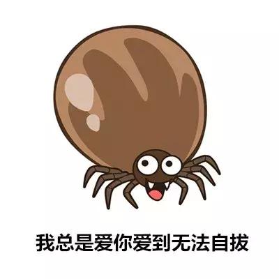 被蚊虫叮咬怎样情况下要就医,如何有效治疗虫叮咬