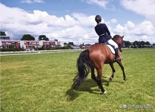 龙湖苏州狮山天街周年庆,2021年12月苏州狮山龙湖天街活动