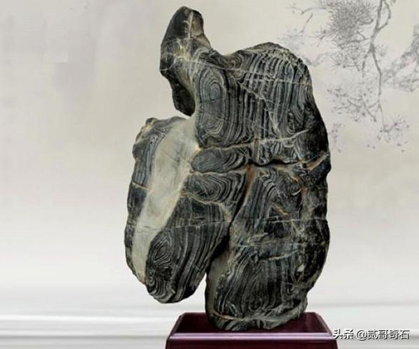 揭露奇石圈内规则,当今奇石圈存在的问题