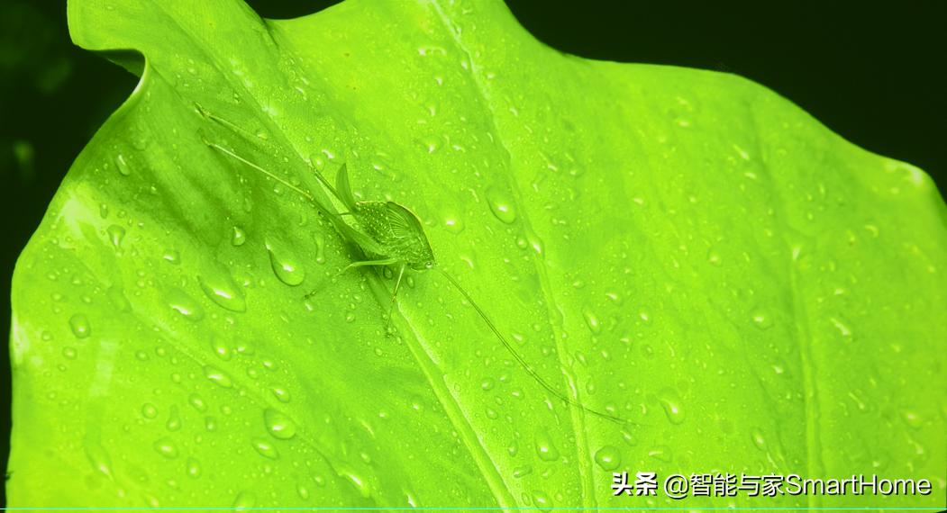 优派4k电视怎么样,优派a3激光电视怎么安装