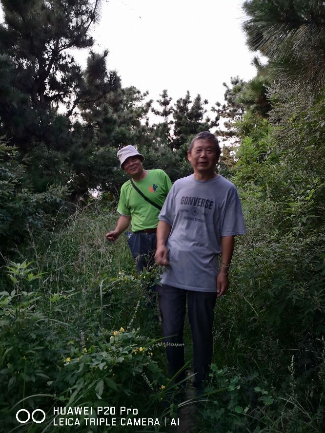 去墟沟最好玩的地方,到墟沟站后该如何到海边