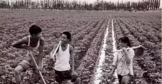 塔里木大学新疆的沙漠学府,塔里木大学周围的沙漠