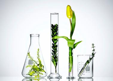 精油为什么不适合自己,精油为什么对情绪有帮助