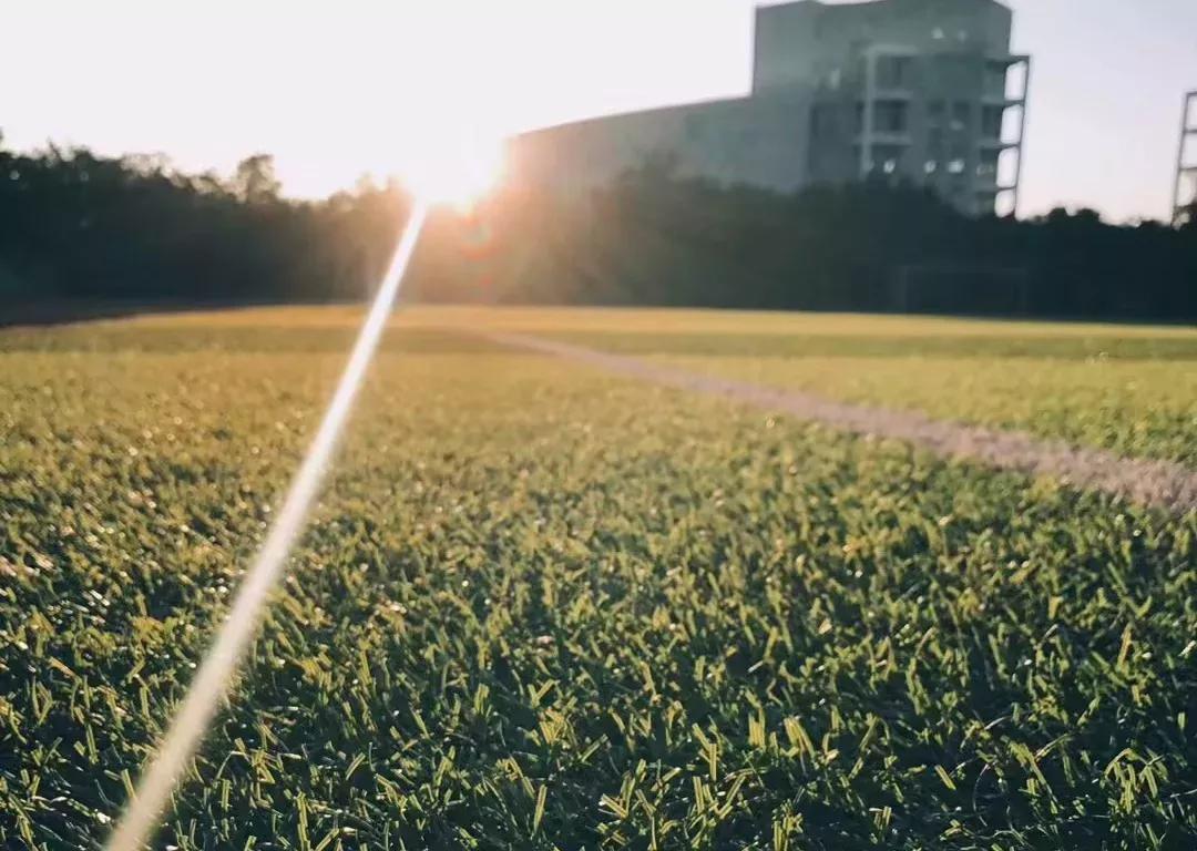 辽宁省民办大学,辽宁理工学院是民办吗