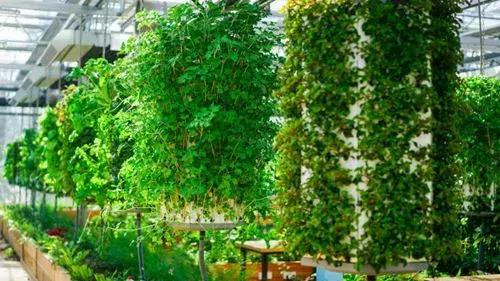 120亩自然营地,120公顷的庄园