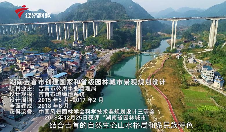 棕榈叶造型设计,棕榈设计公司怎么样