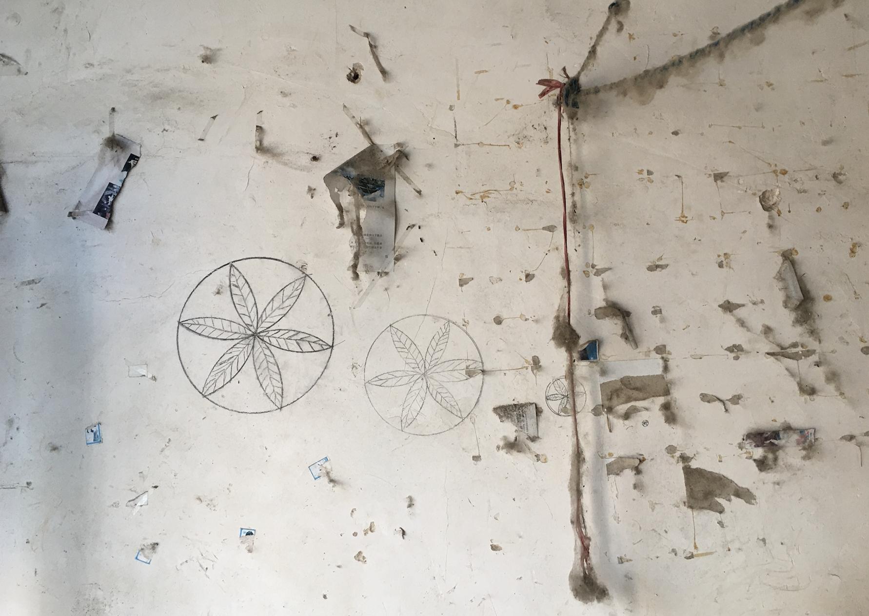 河南杀死堂嫂案件进展,河南少年杀死堂妹