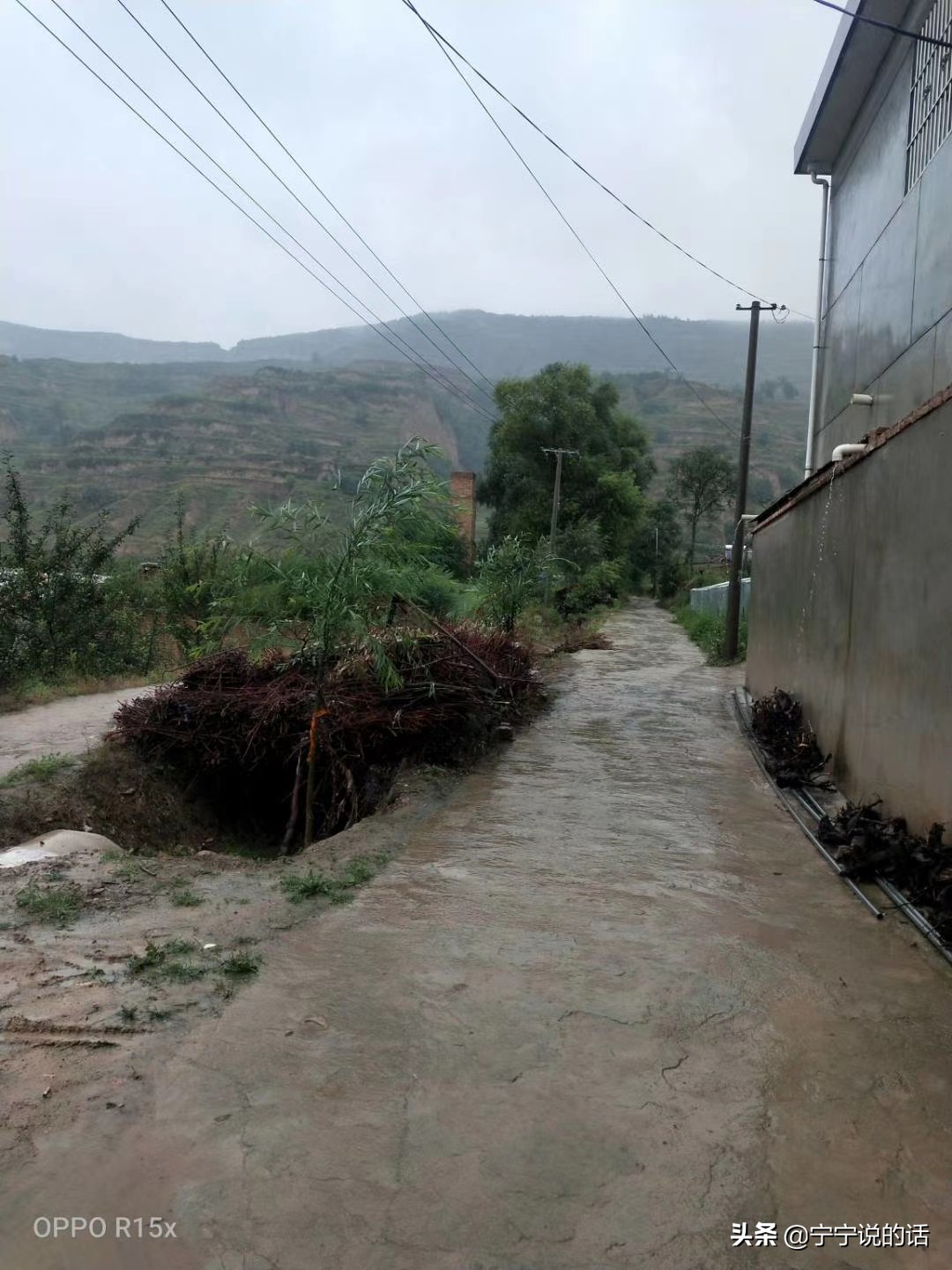 连续降雨苹果会怎么样,连续降雨对果树的影响