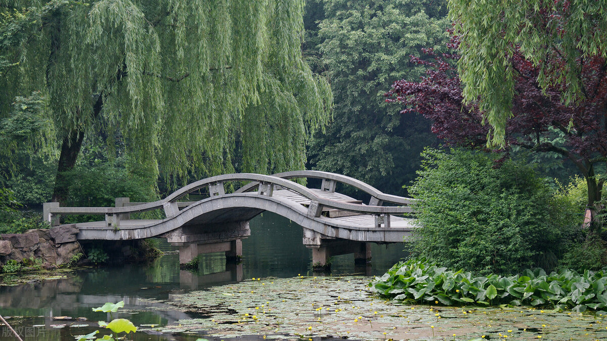 英语作文辅导五年级下册,小学英语作文练习推荐