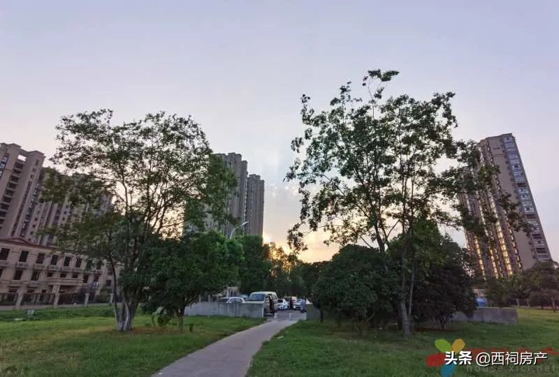 地王盘保利堂悦放风价,剧透30个纯新盘入市放风价曝光