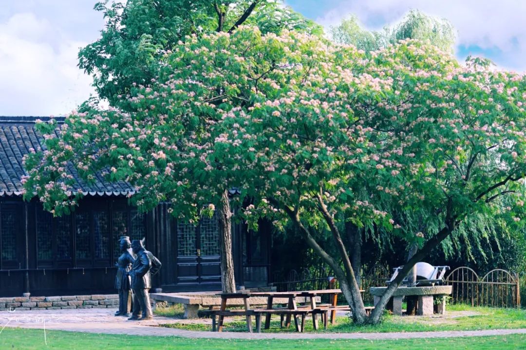 娌欏娴滈鏅尯鑺辨捣,娌欏娴滅殑绱壊鑺辨捣