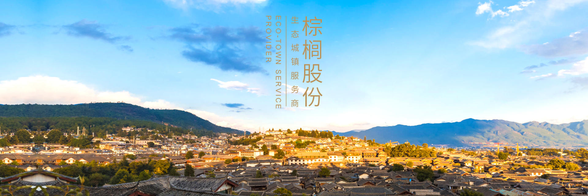 椋炶繘绉戞妧,椋炶繘绉戞妧鑲′唤