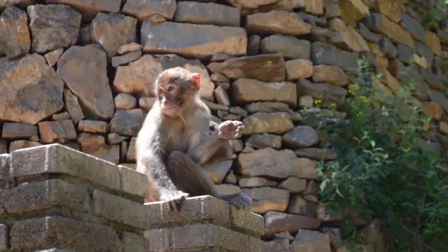 通天峡游玩攻略,通天峡值得游玩的地方
