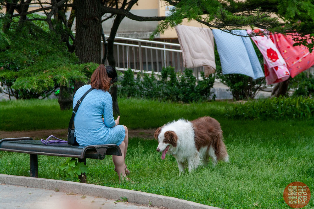 老镜记，Contax35-135/3.3-4.5改装宾得口并试镜