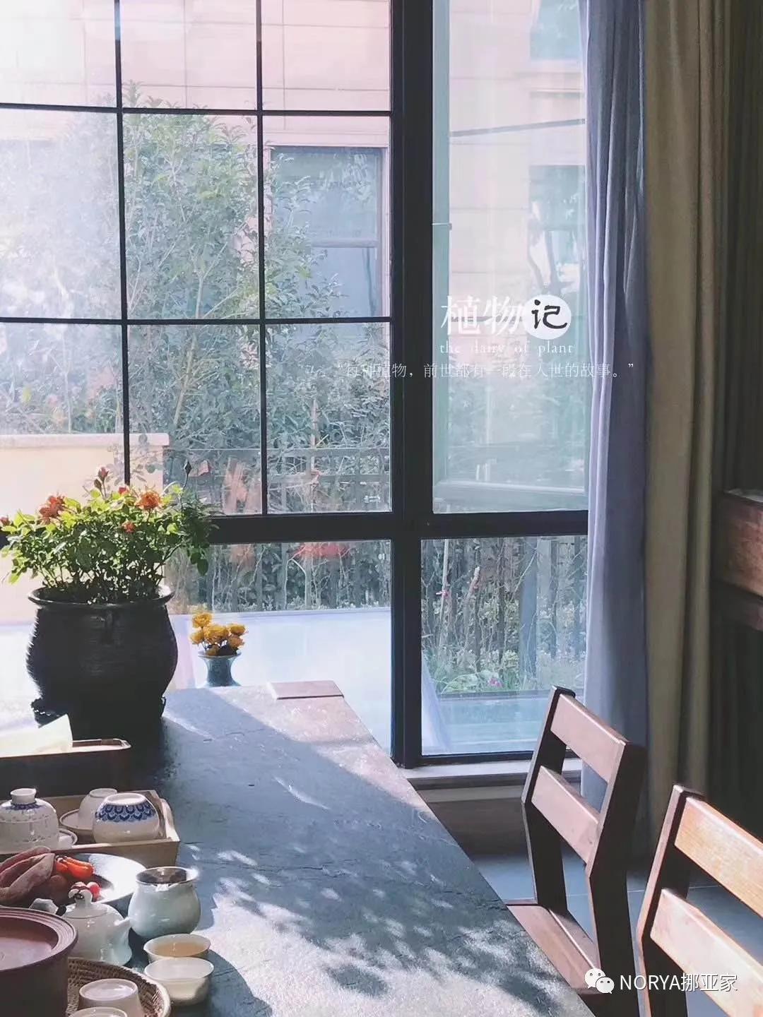 在客厅吃饭才能感觉到舒服,在客厅吃东西和饮料