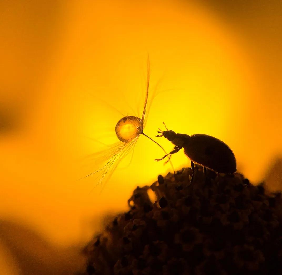 世界摄影构图大赛作品,摄影获奖的技巧和方法