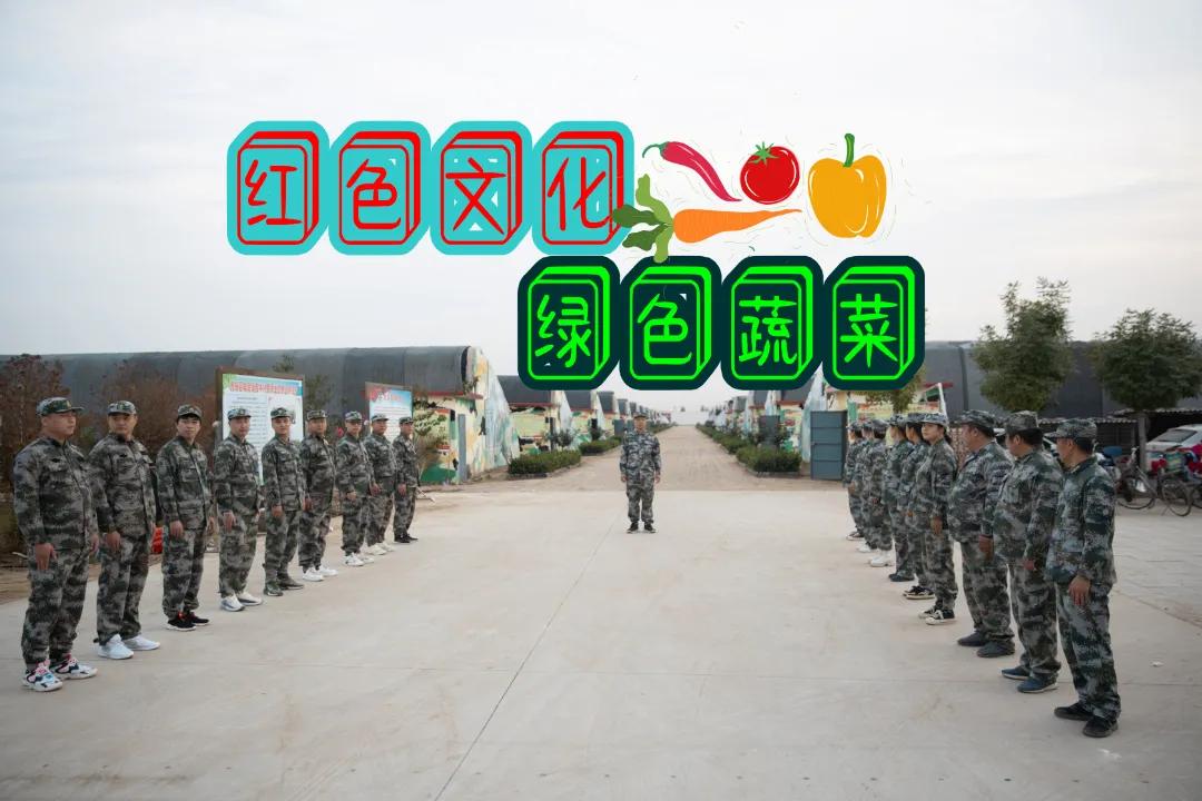 无极有“皮气”，百姓很“蔬服”，让人很“来电”