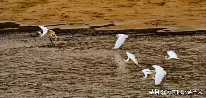 大美金寨：史河两岸的变迁