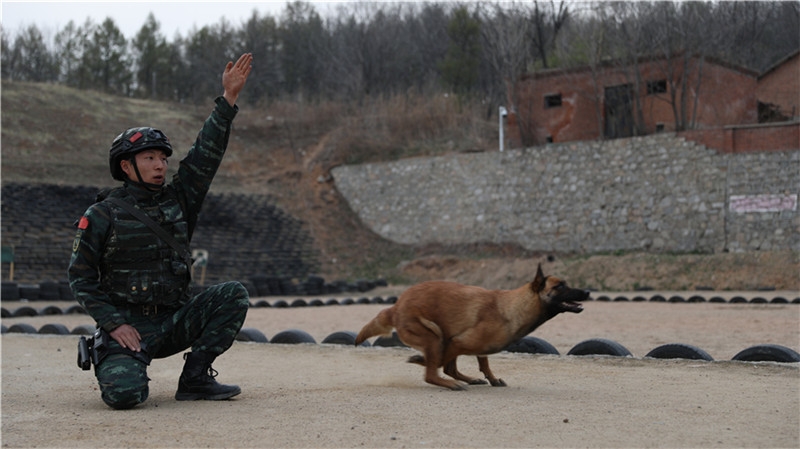 群众性练兵比武武警,群众性军事大练兵