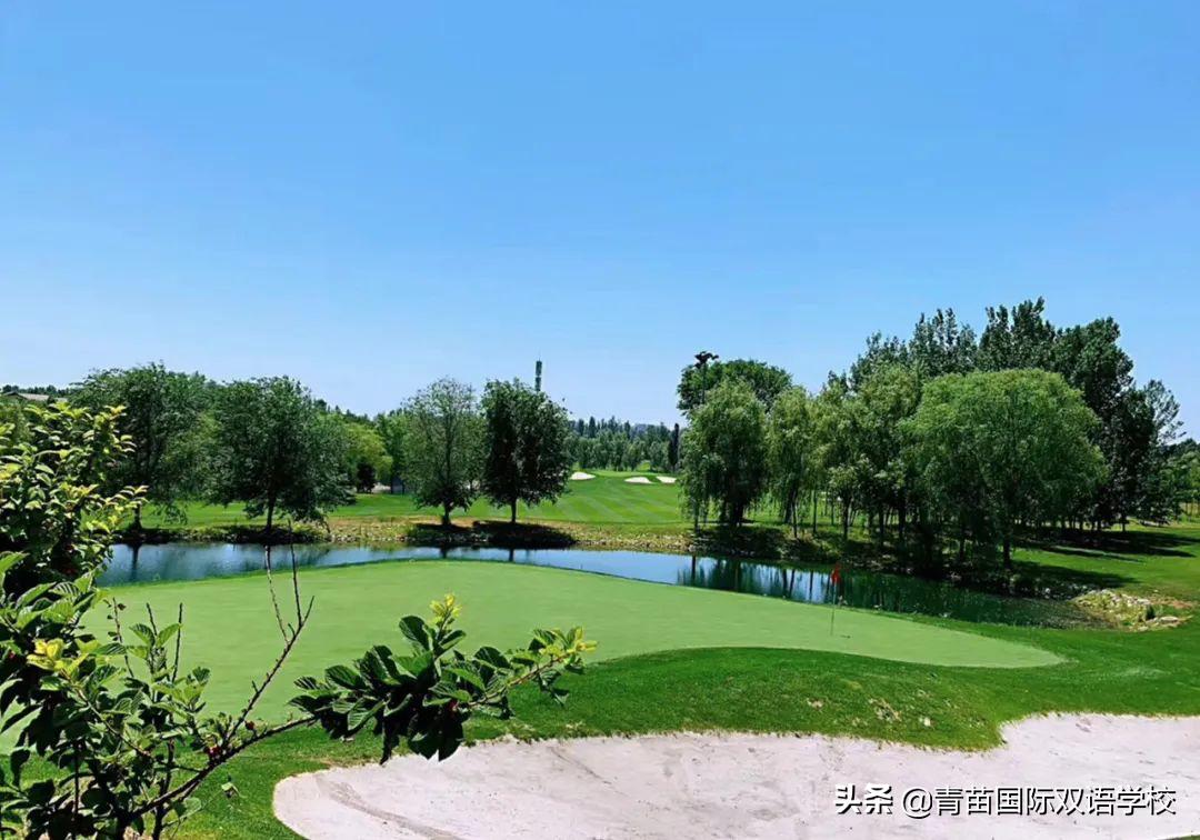 足球运动可以激发民族自豪感,足球节