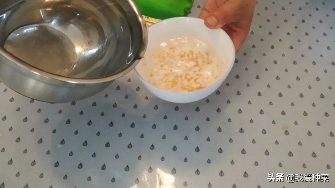 茄子怎么育苗是正确的,茄子育苗出来需要多高温度