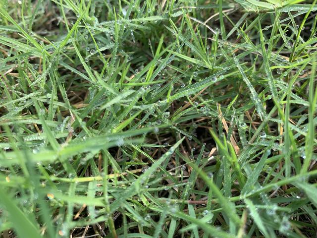 小三怀孕敲诈男方财产犯法吗,小三以孩子勒索钱财违法吗