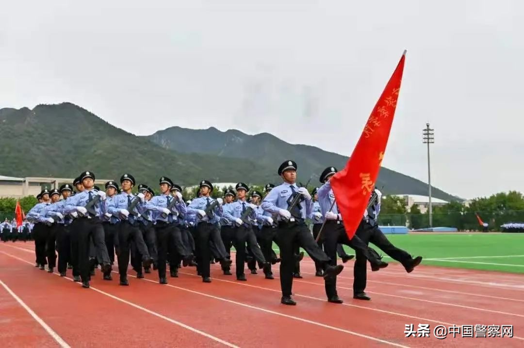 当警察会变秃吗,有人问你为什么当警察怎么回答