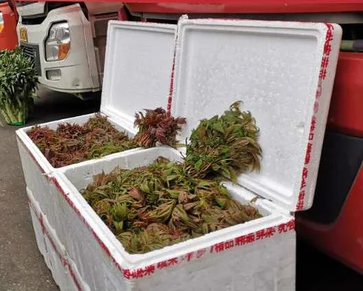 番禺｜爱心速递！松洲街助力近200吨湖北滞销农副产品走进广州千家万户